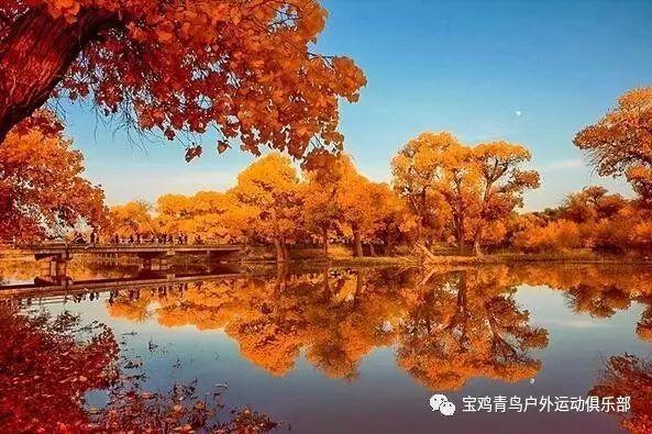 未知的道路
